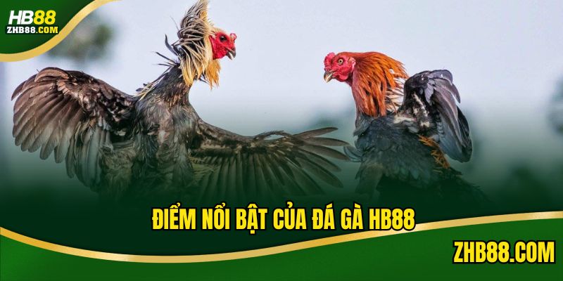 Điểm mạnh của sân chơi chọi kê tại HB88 com