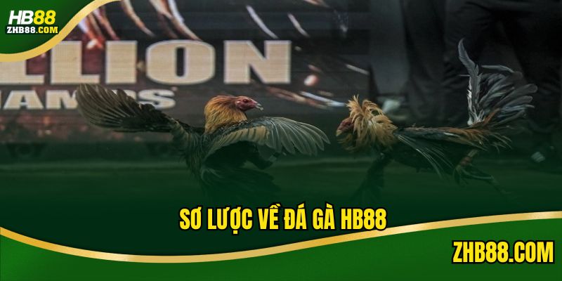 Giới thiệu về sảnh đá gà HB88